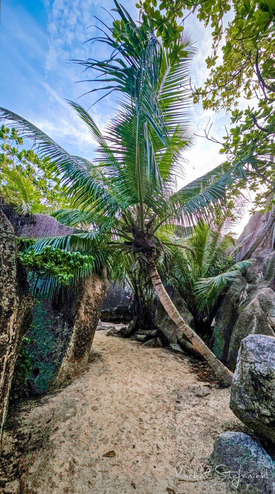 20260304 181925 hdr (1)